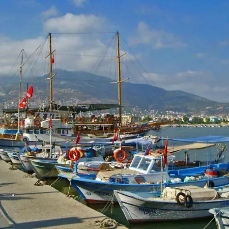 Vila You Will Love This Luxury With Balcony In Alanya, Alanya 1029